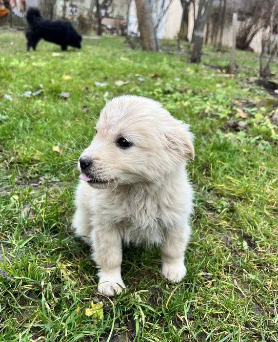 Хлопчик 2 місці шукає родину