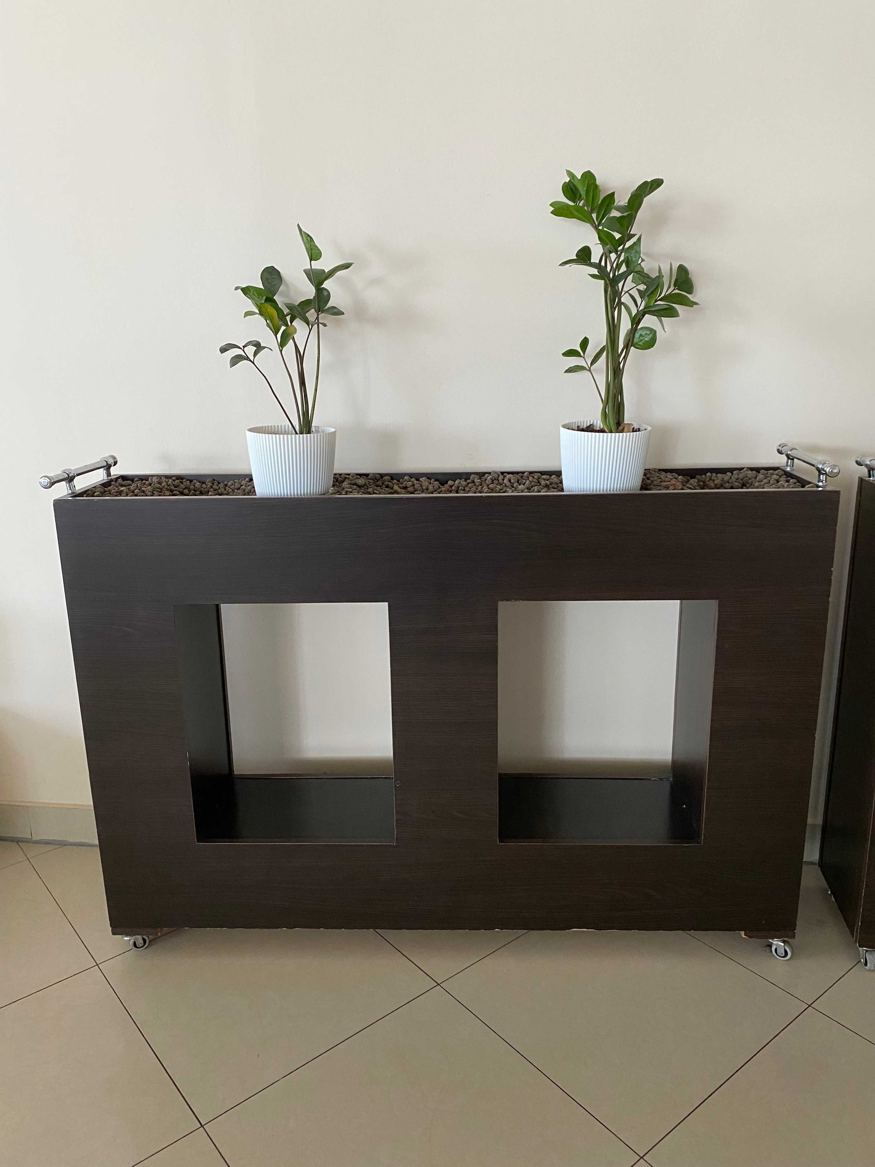 Gazon ozdobny typu WENGE