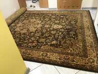 Dywan Dywilan Polonia Tabaka 235x350cm 100% Wełna