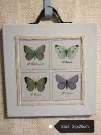 obrazek z motylkami