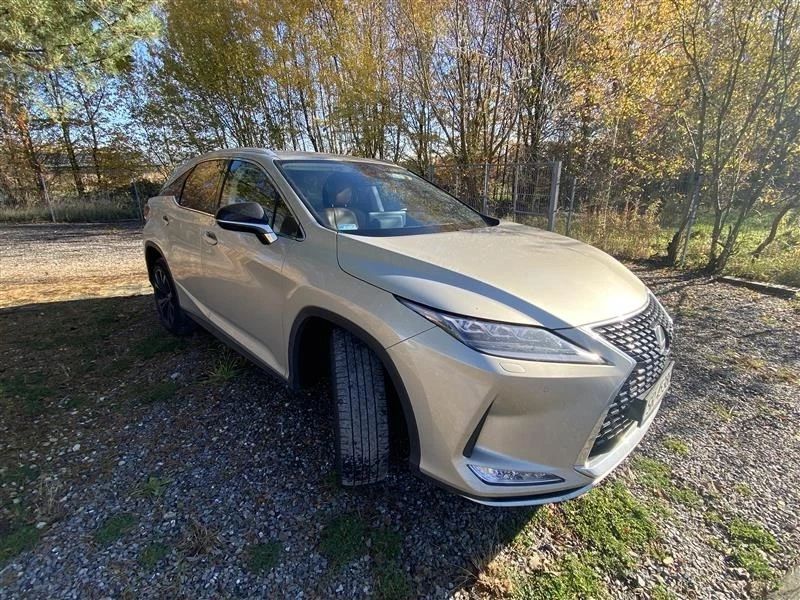 Lexus RX Lexus RX300 2.0Pb, Jeden właściciel, Salon PL, 2021 rok! Stan bdb! FV