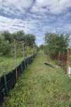 Продам садовый участок РТС Молодые Сады 8 соток