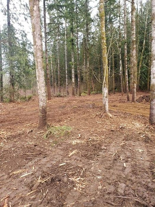 Wycinka krzaków zarośli drzew karczowanie działek mulczer oczyszczenie