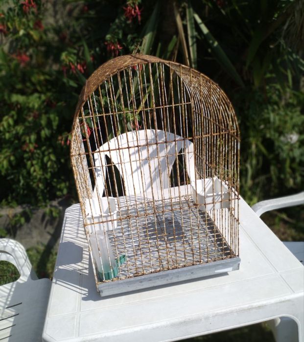 Gaiola para pássaro