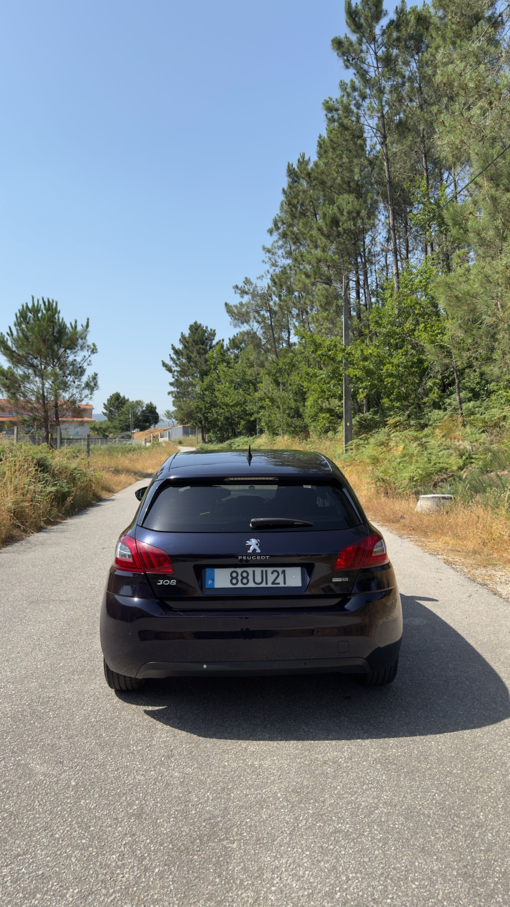 Peugeot 308 1.6 120 CV