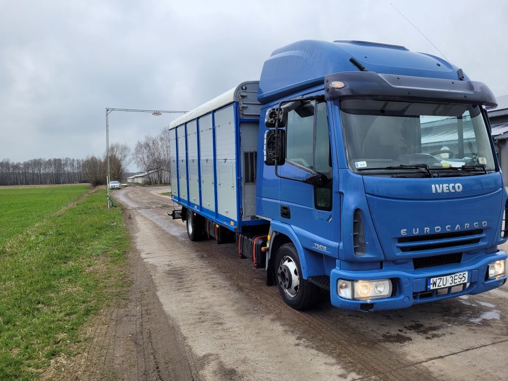 Iveco eurocargo 75e18 do przewozu zwierząt