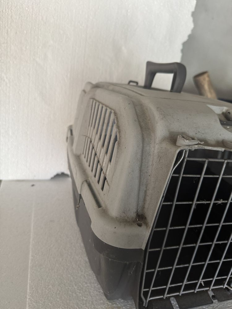 Casota gato/cao