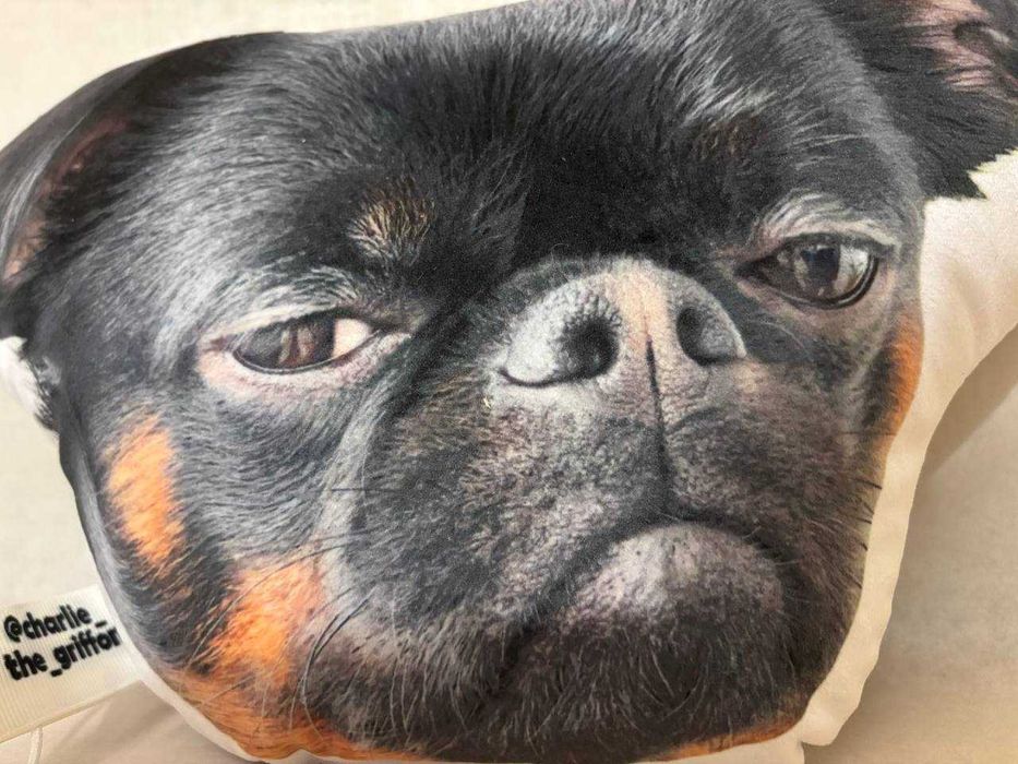 Подушка маленька  із невдоволеною собакою "charlie_the_griffon"