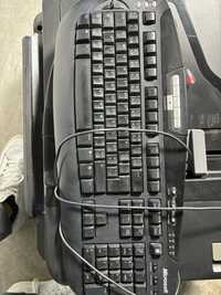 Teclado Microsoft