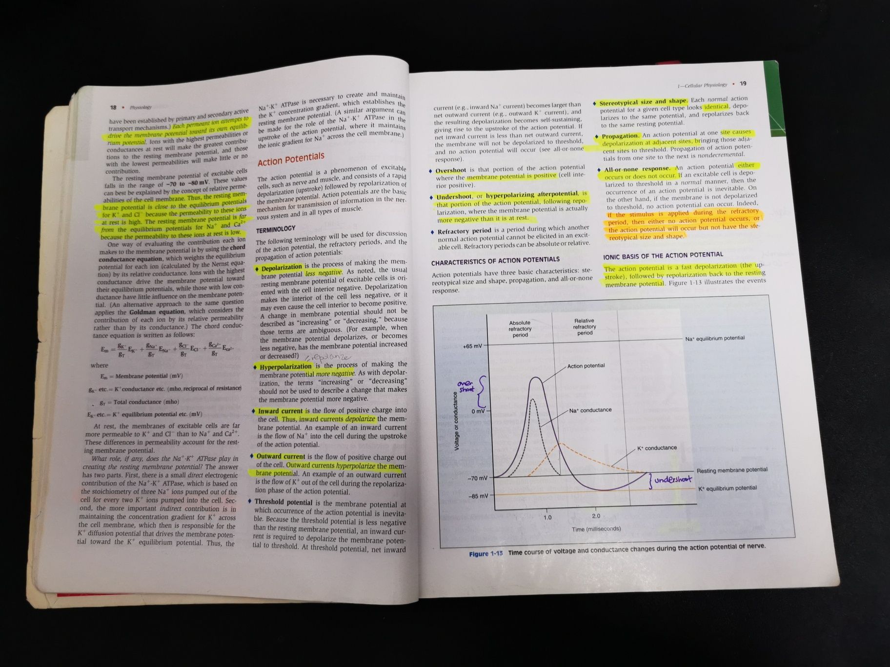 Physiology Linda S. Costanzo 4th edition