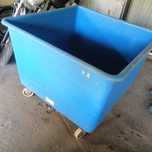 Wanna basen ryby , karp