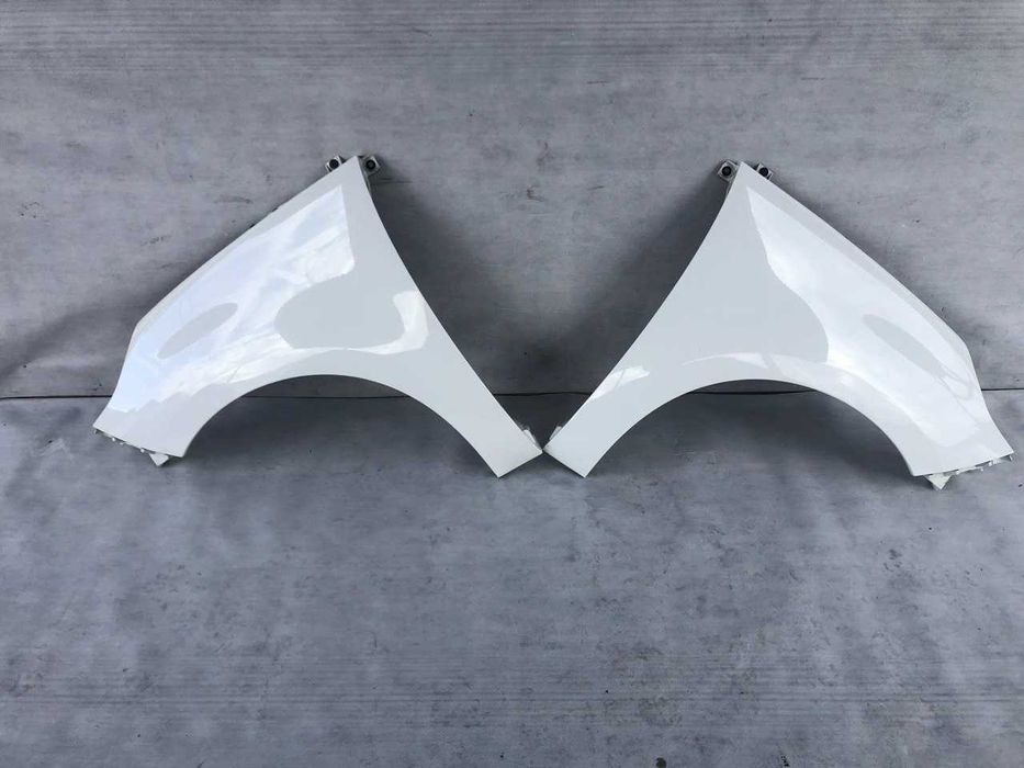 Крыло Renault  Scenic 3 Крила Цвет OV369 В наличии