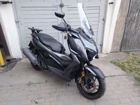 Zontes 310M I właściciel salon PL 1 rej. 03.2025