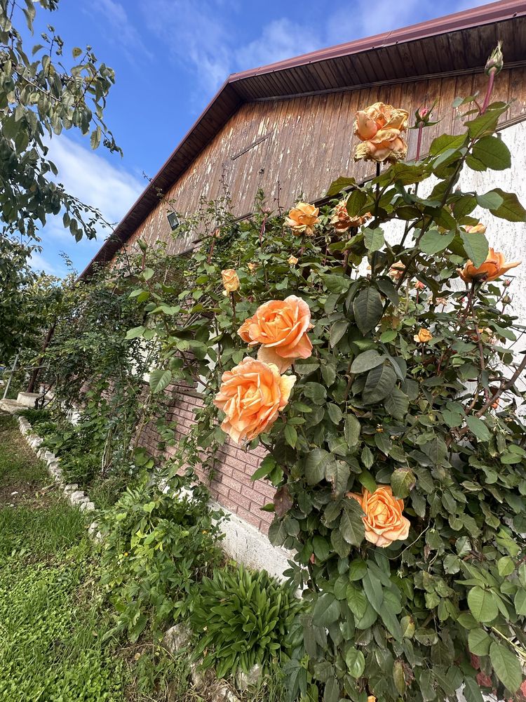 Продам Дом в Барабоях