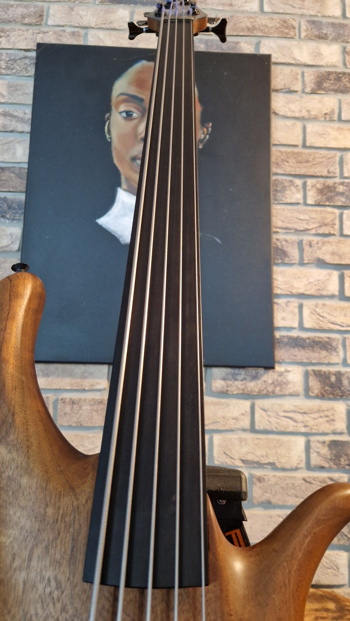Bas GMR V fretless