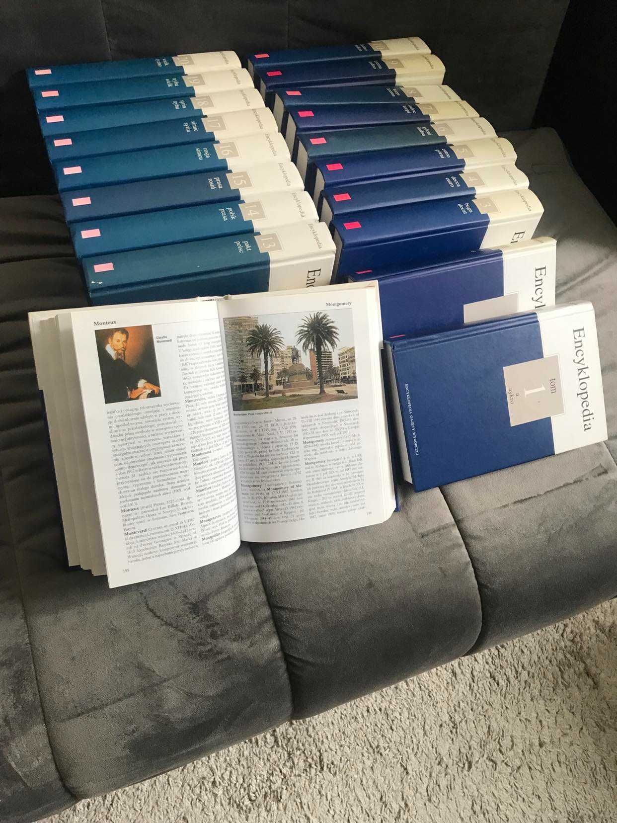 Wielka Encyklopedia PWN - wszystkie tomy, świetny stan