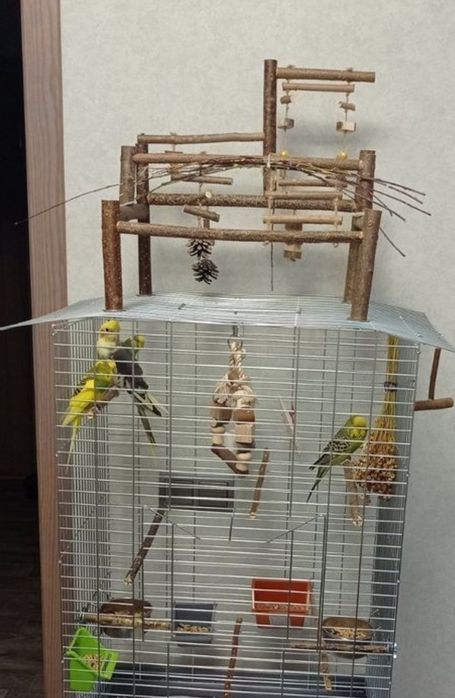 Стенд для папуг, ігрова зона, клітки, стенди, ігровий майданчик