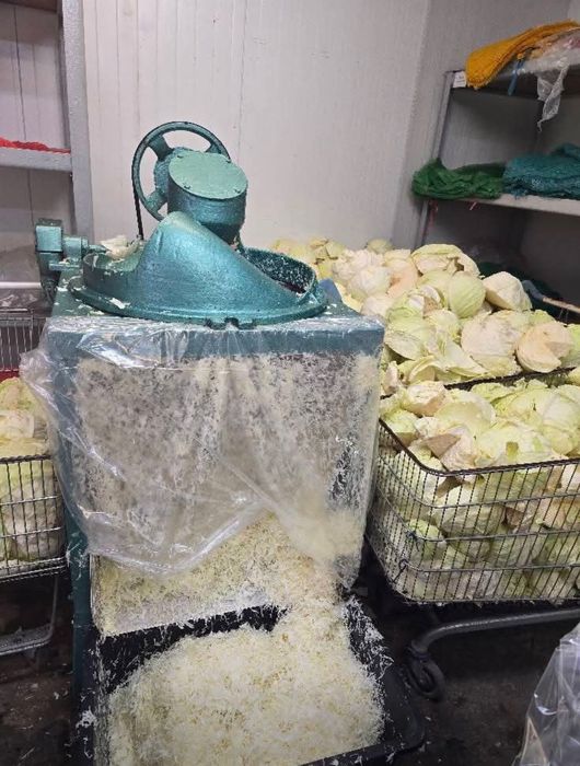 Kapusta szatkowana oraz warzywa