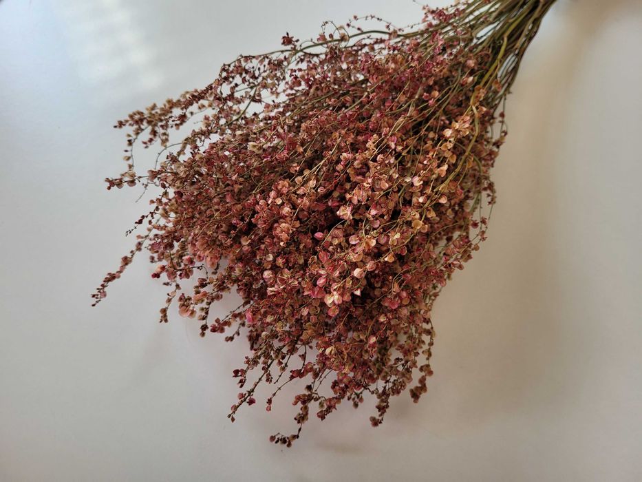 NA DOŻYNKI - suszone trawy kłosy bukieciki kwiaty suszone