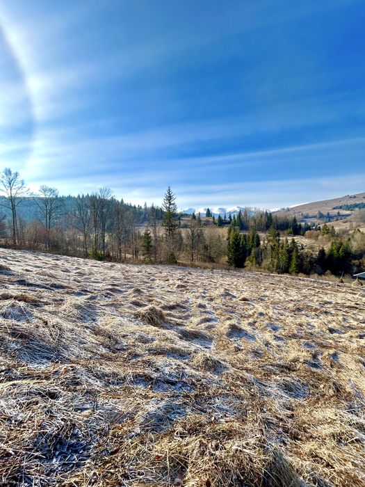 Земельна дідянка в селі Нижній Студенний