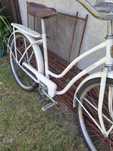 Rower Universal damka