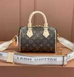 Valise Louis Vuitton Speedy 20