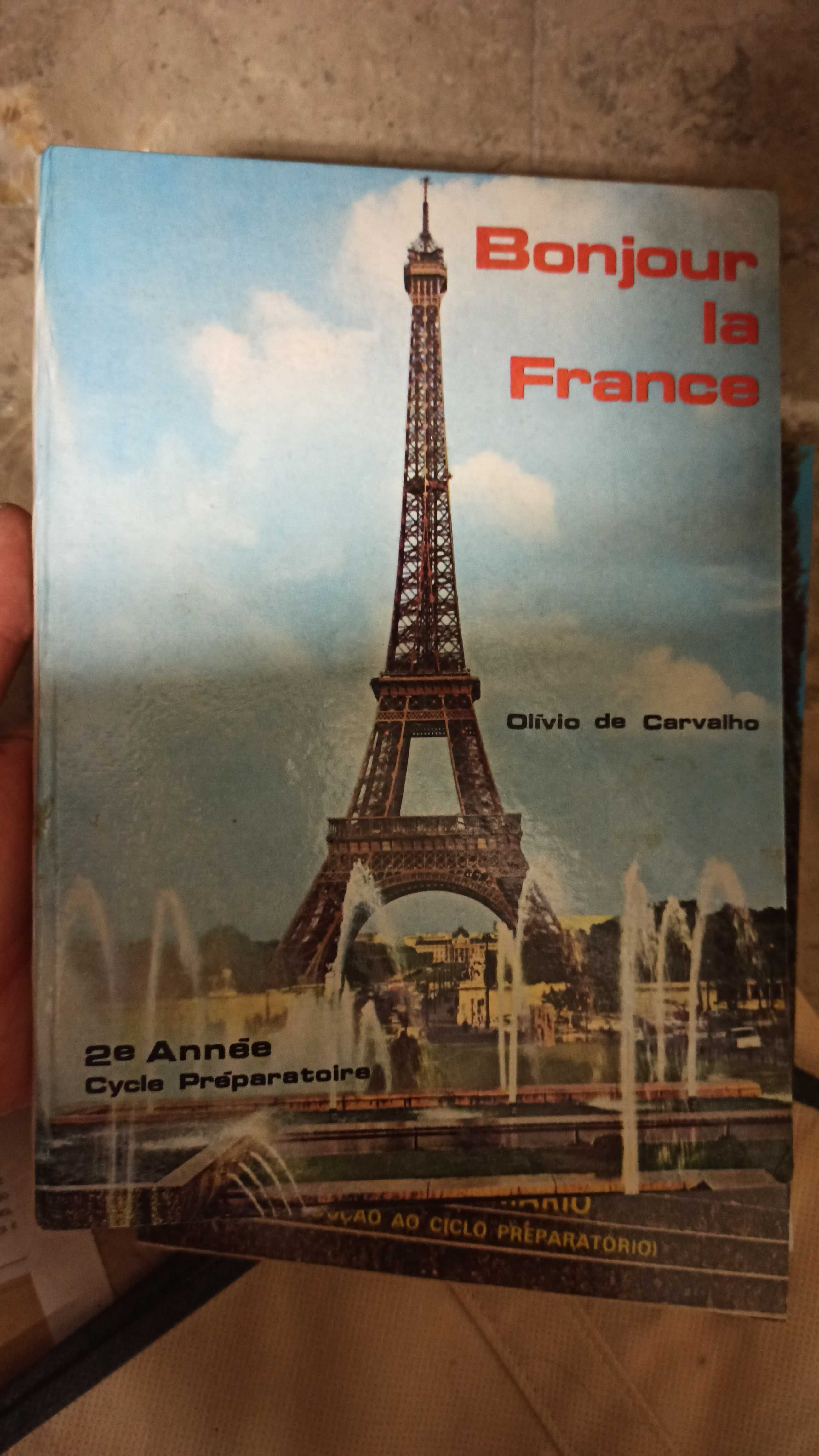 Livros para Aprender Francês