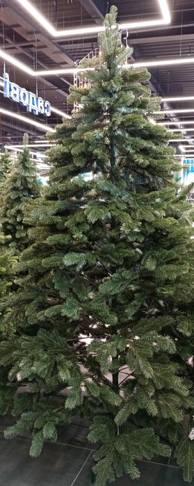 Лита Ялинка 2.3 м