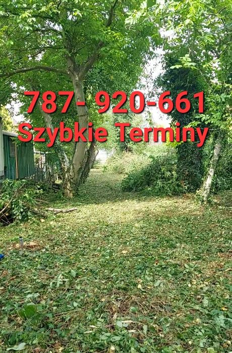 Usługi Ogrodnicze/ Wycinki/ Rębak/ Koszenie/Serwis Ogródka