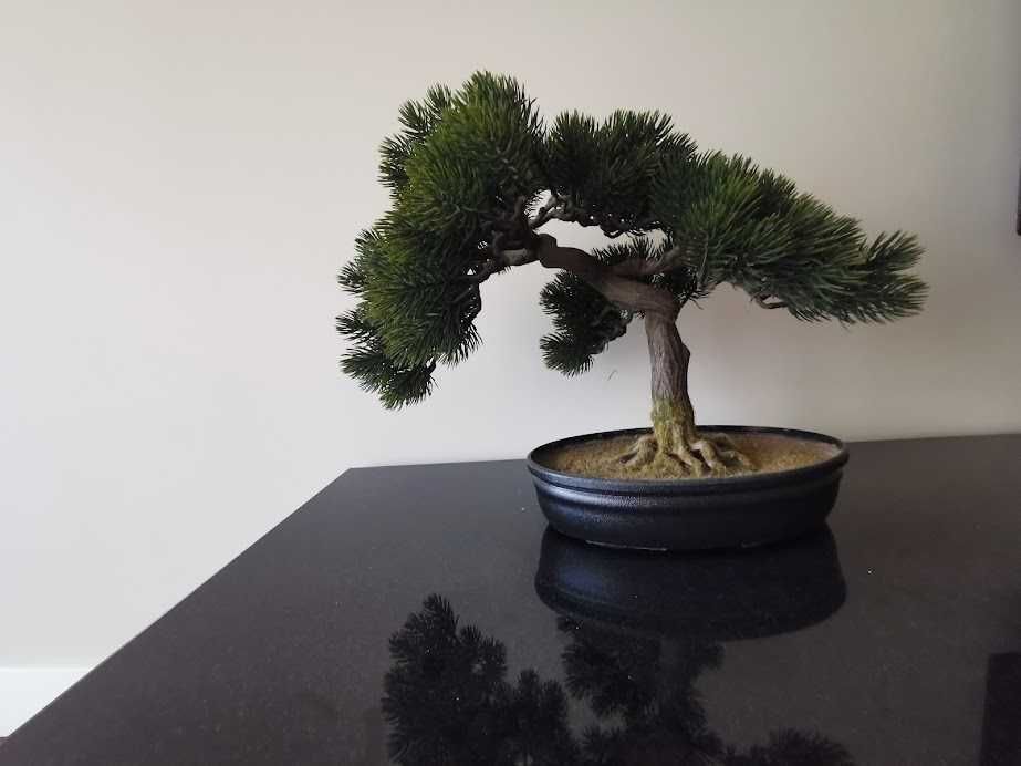 Bonsai artificial