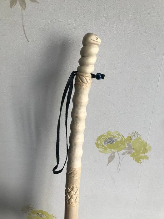 Палка для трекінгу