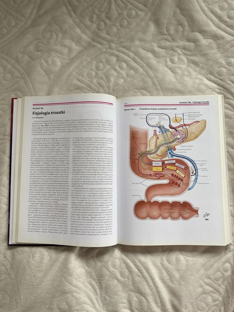 Gastroenterologia Nettera Tom 2