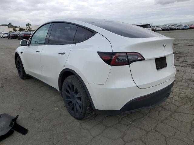 Tesla  Model Y 2021