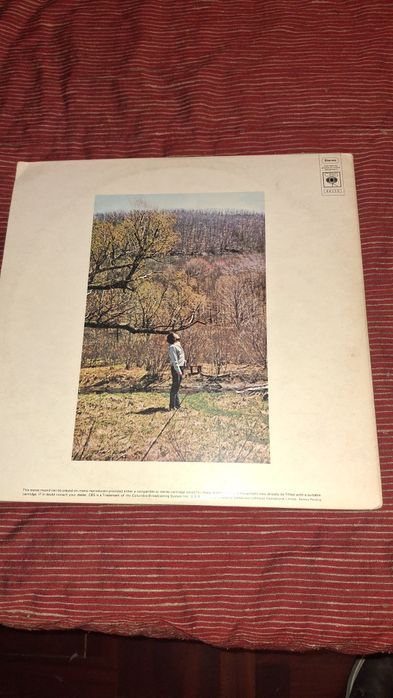 Bob Dylan self portrait 2 lp folk rock