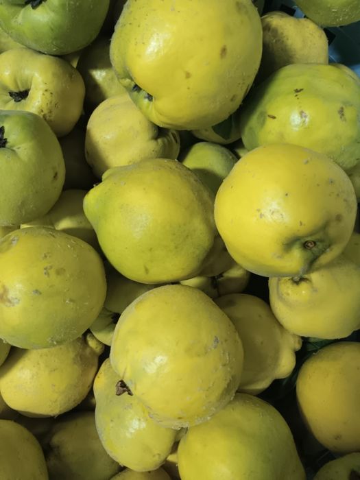 Marmelos tras os montes biológicos