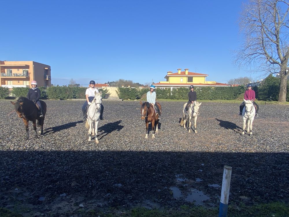 Cavalos a Penso ou Pasto - VNGaia e Gondomar