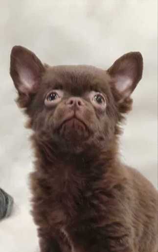 Гарненький хлопчик на ім'я Каспер