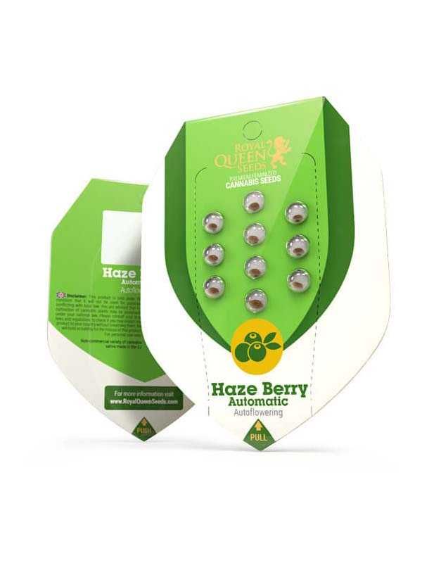 Nasiona marihuany Haze Berry Auto / Royal Queen Seeds - 5 sztuk