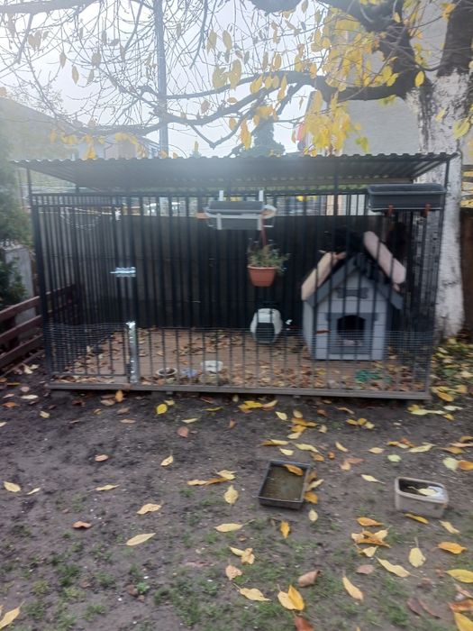 Kojec dla psów z budą