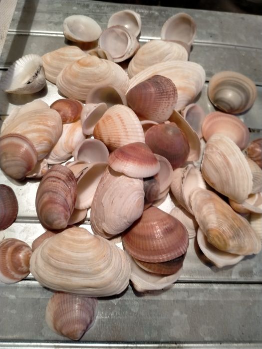 Продам оборудование и аксесуары  для аквариума.