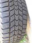 Opony zimowe Frigo Dębica 195/65R15