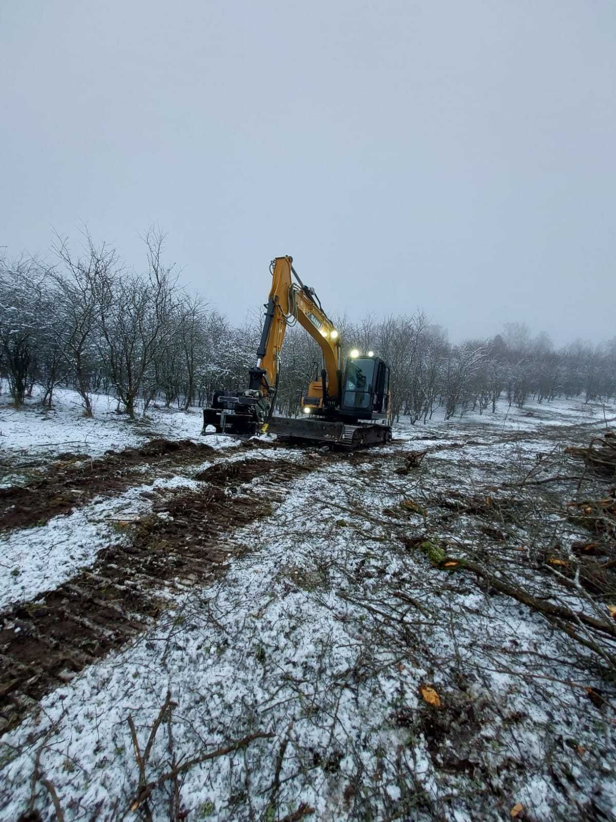 Wycinka kupno sadów lasu samosiejek mulczowanie rekultywacja aronia