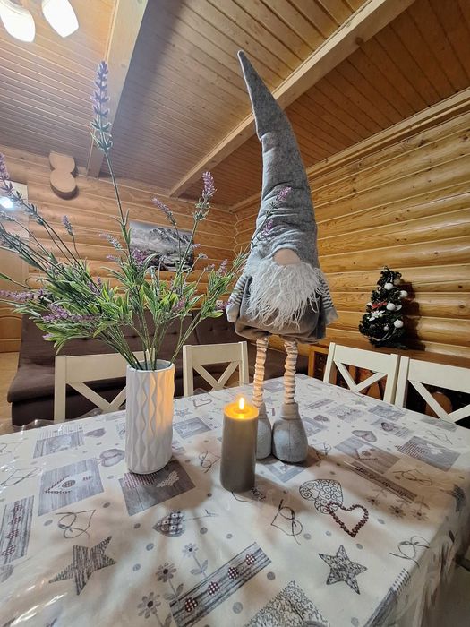 Котедж в Карпатах.  Відпочинок в горах