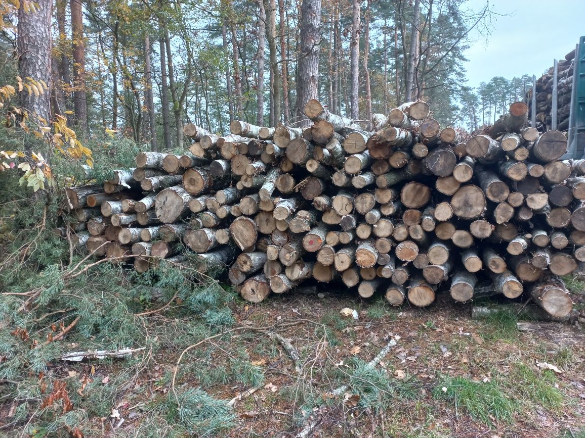 Drewno kominkowe opałowe Michałowice Kocmyrzów Zielonki Bibcie