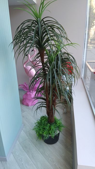 Пальма штучна, штучні рослини