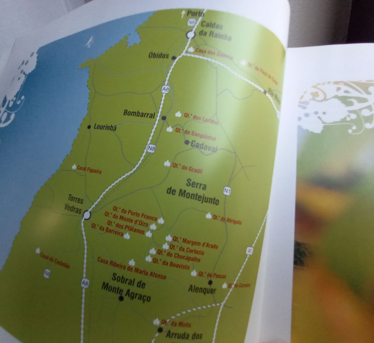 Livro sobre os vinhos da região Oeste Montejunto