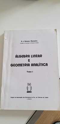 Álgebra linear e Geometria analítica - FCUL
