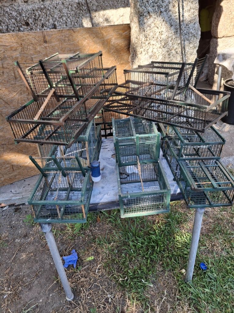 Vendo 6 Alçapãos