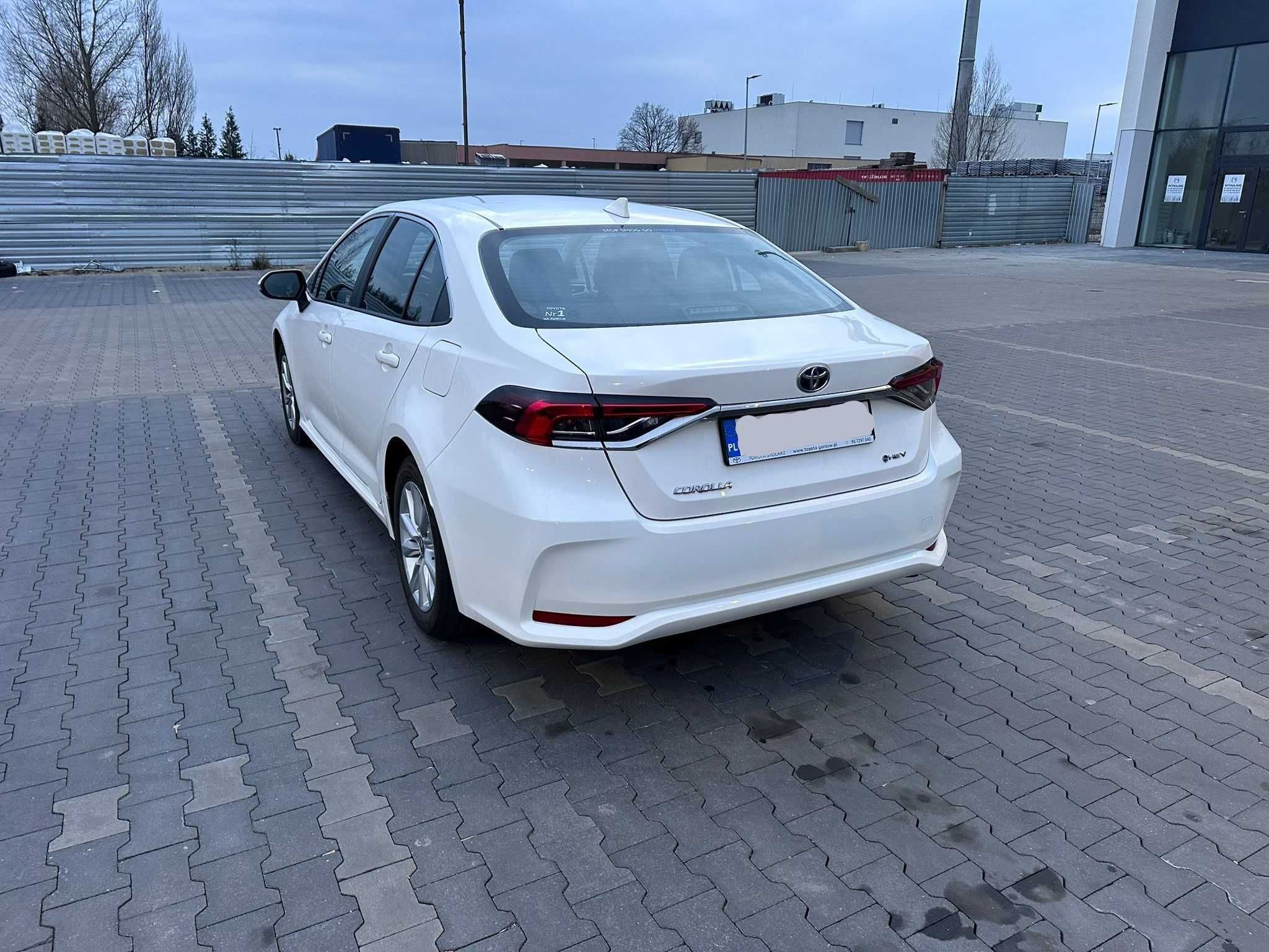 Wypożyczalnia Busów Aut Osobowych Automat HEV LPG  ON Wynajem 7 8 osób