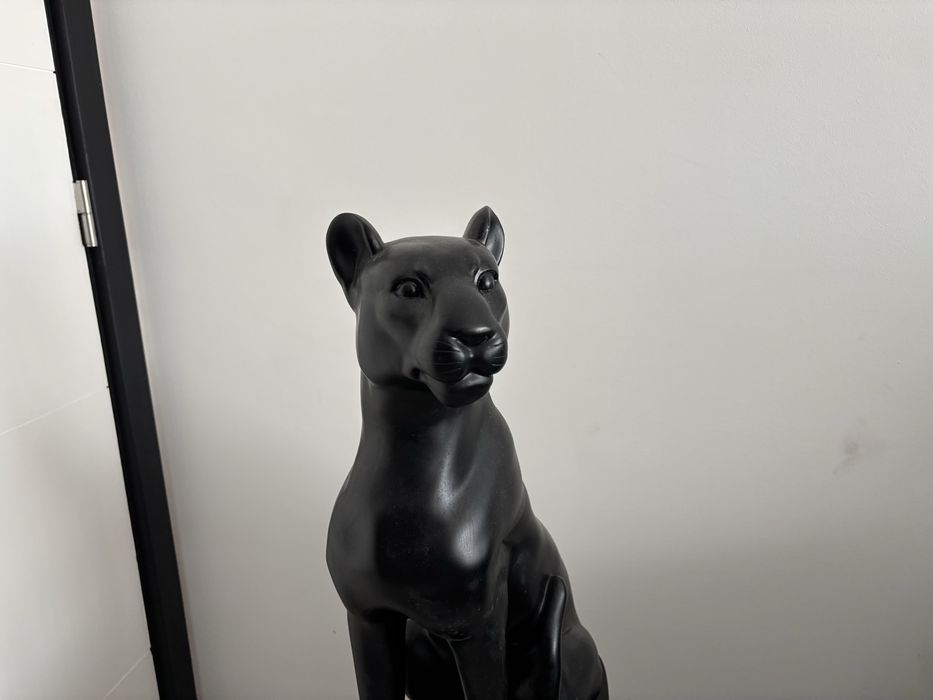 Pantera em Estado Novo Homa